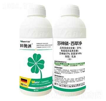 31%ɯ���ס����݃�-���-�f��