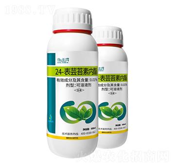 0.01%24-表蕓苔素內酯-韶華美