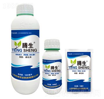 ����֬���S����E-�v��-�õ���