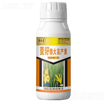 麥籽膨大高產(chǎn)素-郭師傅-立信生物