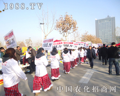 �r(n��ng)���W(w��ng)ӭ�������������и�ĸɄų��l(f��)