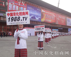 ��28��ֲ����(hu��)�r(n��ng)���W(w��ng)������������ݻֺ�