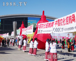 2013��|����ʡ�����p������S���е����������