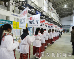 2013���ַ��ϕ�(hu��)�����r(n��ng)���W(w��ng)�����