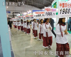 չ��(hu��)���ʲ��������c(di��n)��(y��ng)�Ӳ�Ͼ