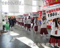 �r(n��ng)����������Ӣ��?c��)�չ�?hu��)�����аl(f��)�P(y��ng)�F(tu��n)�(du��)����