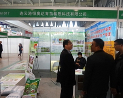 ��W�_29���Ͼ�ֲ�����еõ��߶�ٝ�P