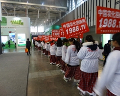 �r���W�ڵ�29��ֲ����������һ���_�A