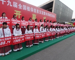 ��29��ֲ�������������