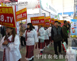 ��ʮ�����(y��ng)�����p����(hu��)���r(n��ng)���W(w��ng)��С���(y��ng)����(j��)ٝ