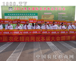 ��ʮ�����(y��ng)�����p����(hu��)�Ͽɐ�(��i)����