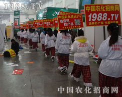 ����ʮ��ֲ�����M��ǧ܊�r��������҂��߁�