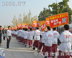 �r�����˂��ڵ�30��ֲ�����V�����˵Ę��V