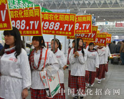 С����(du��)��M�@�tɫ������ɫ