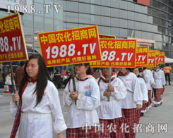 ����ʮ��ֲ����(hu��)�ϣ��r(n��ng)���˶�־���P(y��ng)