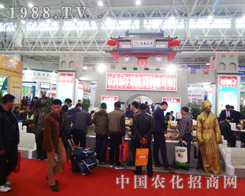 ���������đ��(chu��ng)���������ʮ��ֲ����