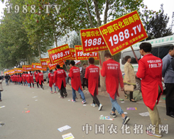 ɽ�|ֲ�������ഺ���҂���(zh��n)����������