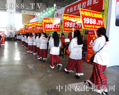 ��27�Ü���ֲ����(hu��)1988�r(n��ng)���W(w��ng)��(d��ng)֮�o(w��)����������ģ