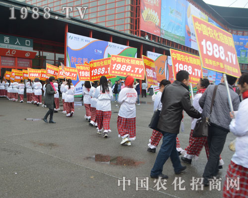 1988.TV��2015���ݷ��ϕ���ȡ����չ���ĈA�M�ɹ�