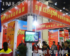 �tɫ�ŵ�������ԭ���ϕ�