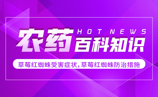 ��ݮ�t֩���ܺ��Y������ݮ�t֩����δ�ʩ