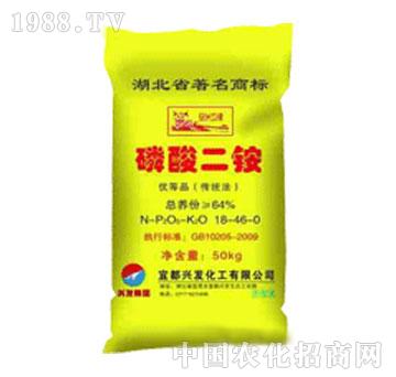 �d�l(f��)���F-������@