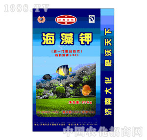 �R������-�����