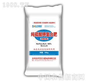 ���_-������⛏ͺϷ�