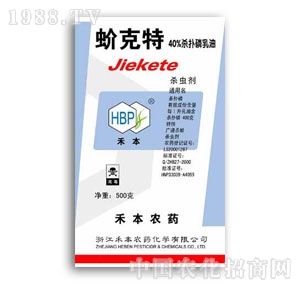 �̱��Ƽ�-����40%����