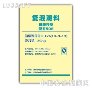 �o�컯-�ͻ��508�䷽