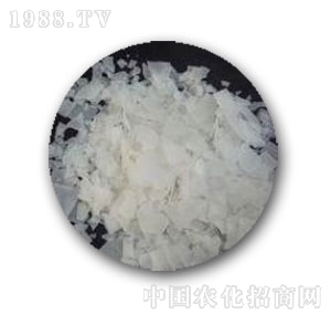 �к����W(xu��)-99�x��ĤƬ