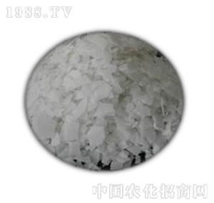 �к����W(xu��)-Ƭ�A