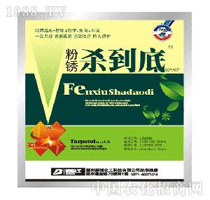 �²�����-���P������