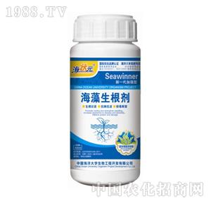 ����Ԫ-������