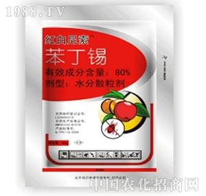 ����ˎ�I(y��)-�t������