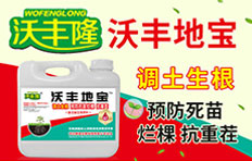 ʩ���S�����ɷ����޹�˾